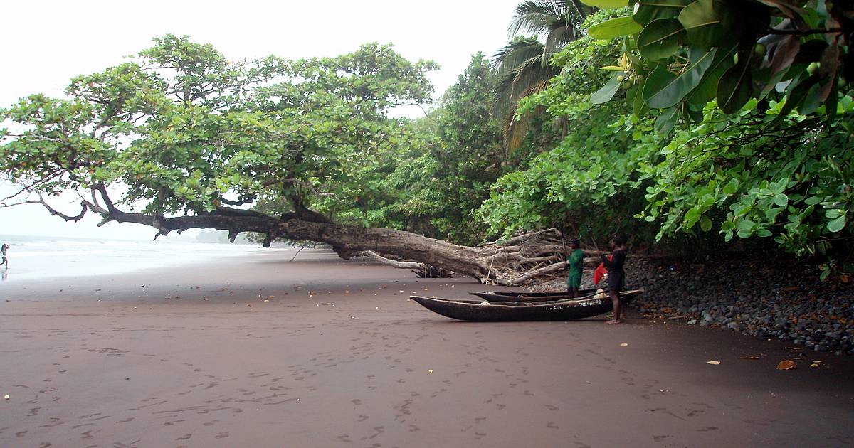 Limbe