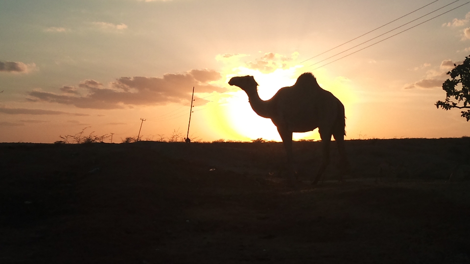 Garissa