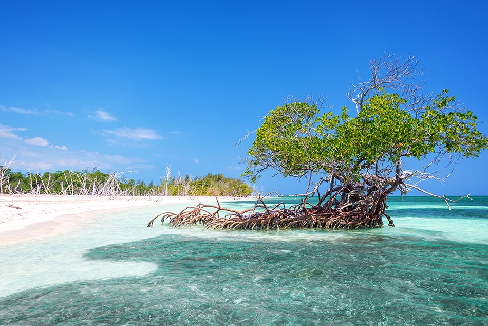 Cayo_Levisa