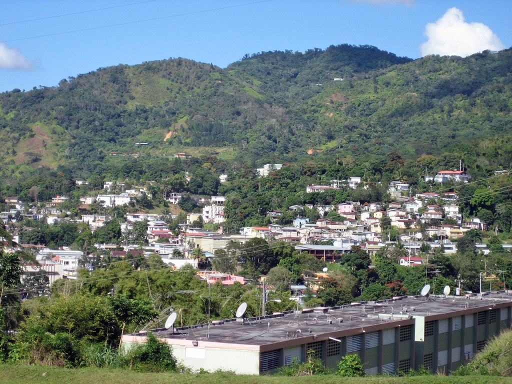 Adjuntas