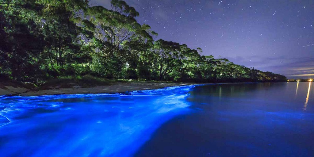 Vieques