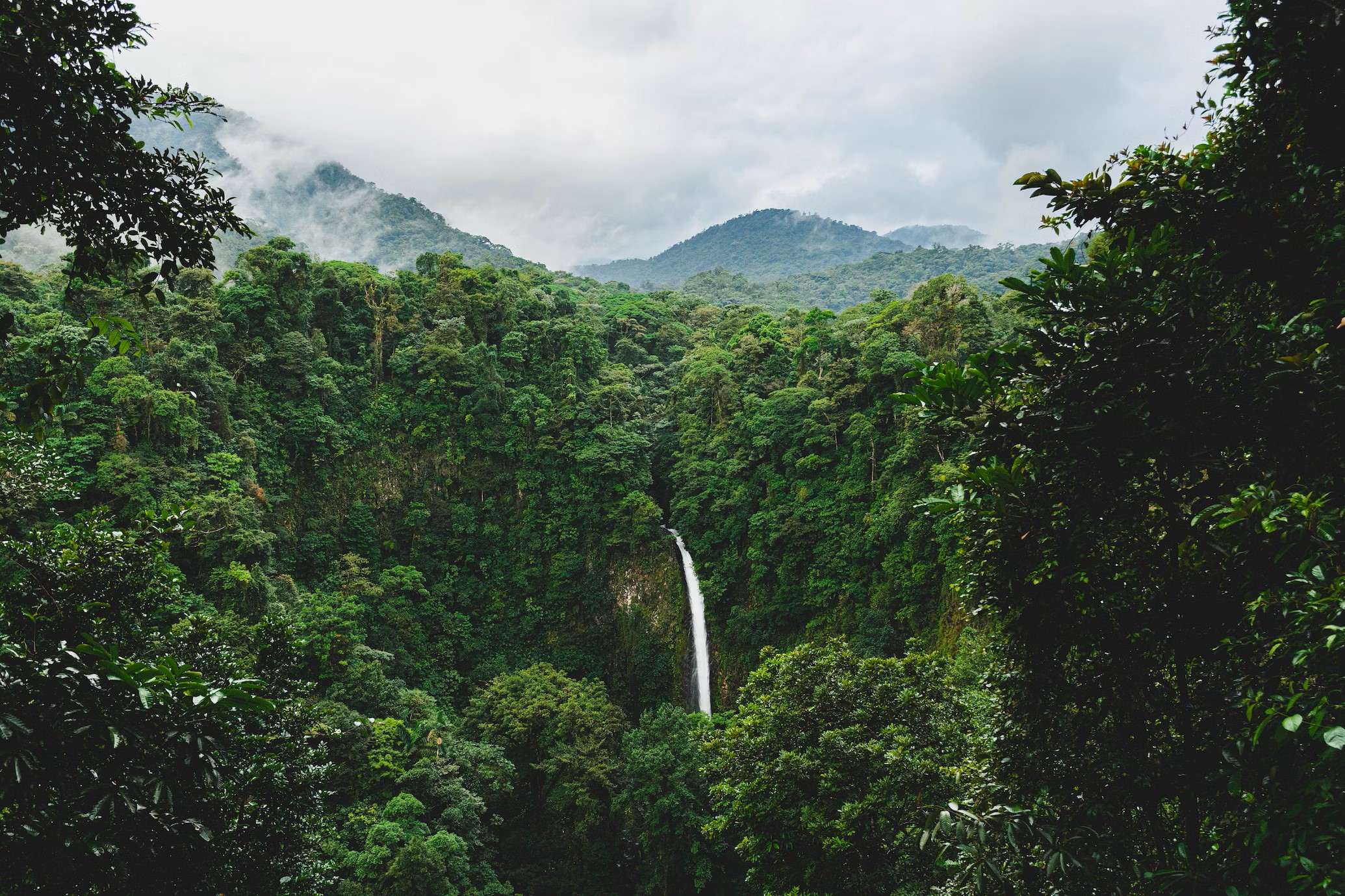 Alajuela