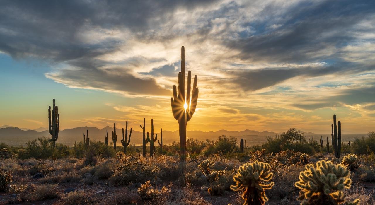 Scottsdale