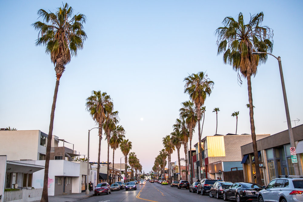 Abbot_Kinney_Boulevard