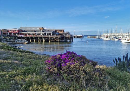 Monterey