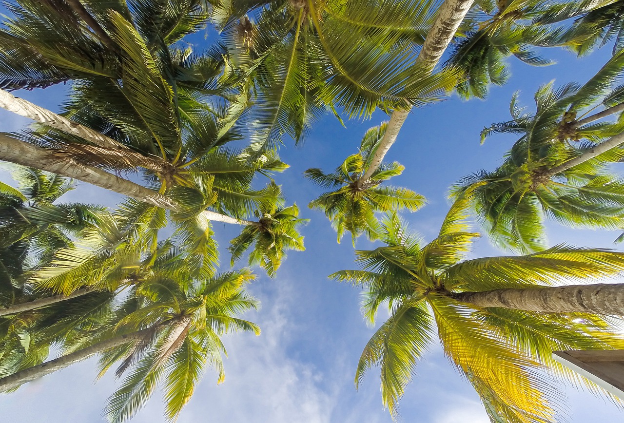Palm_Springs