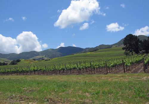 Santa Ynez
