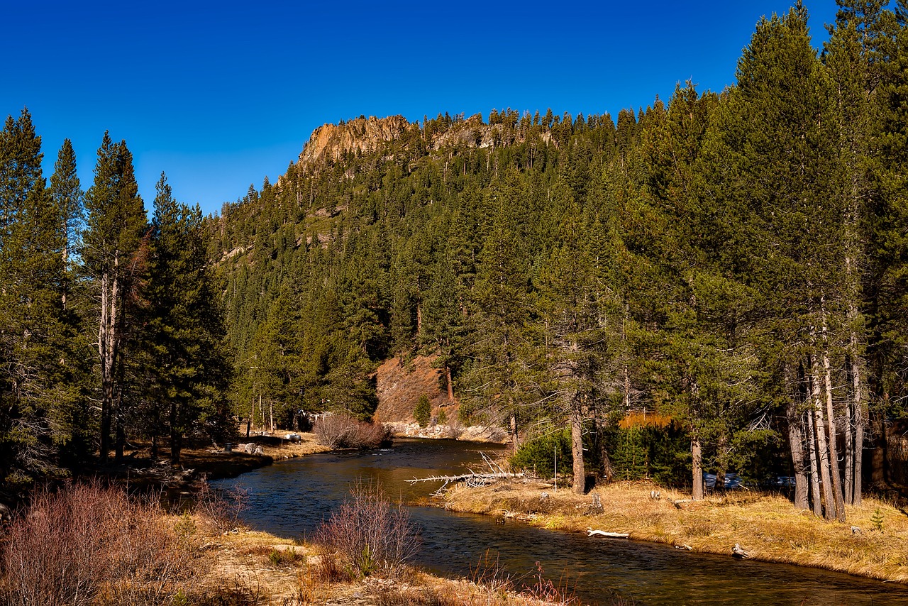 Truckee