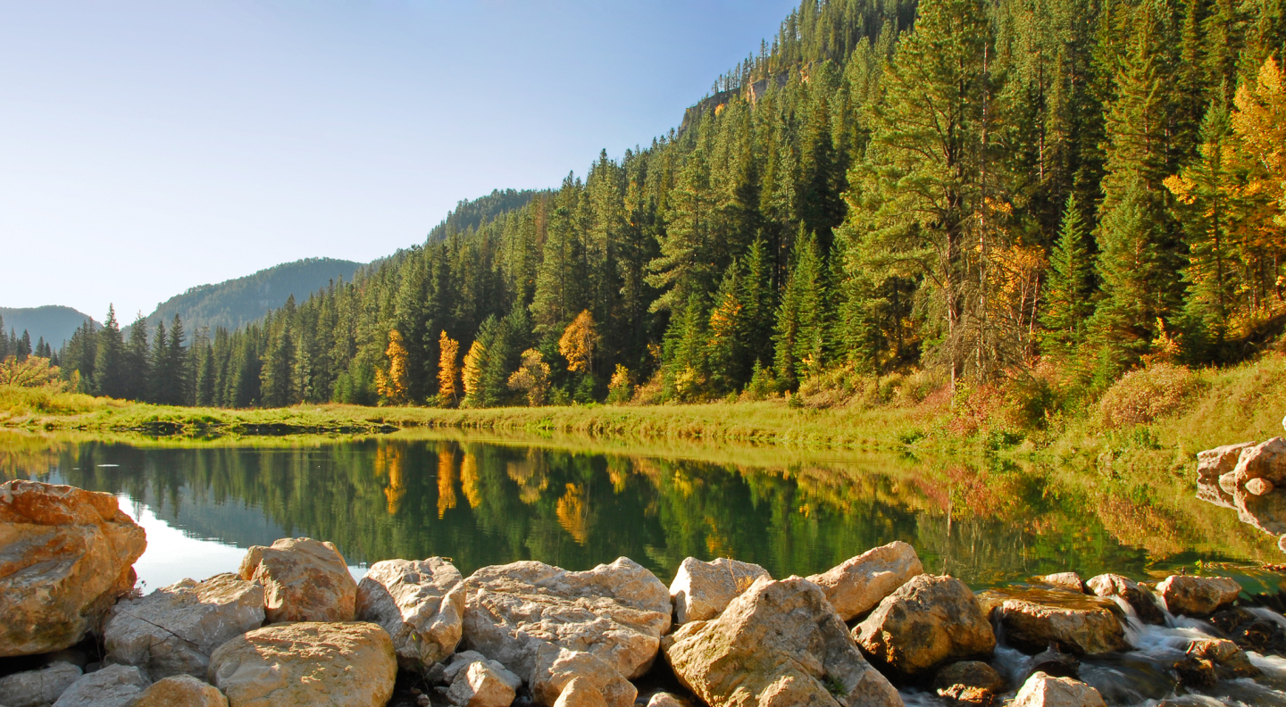 Spearfish
