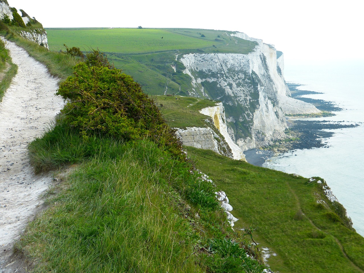 Dover