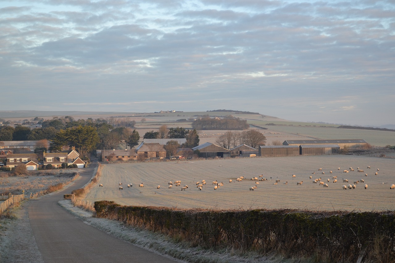 Seaford