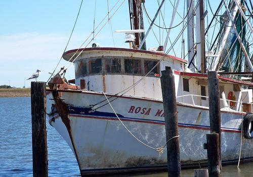 Apalachicola
