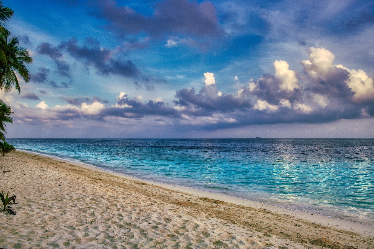 Palm_Bay
