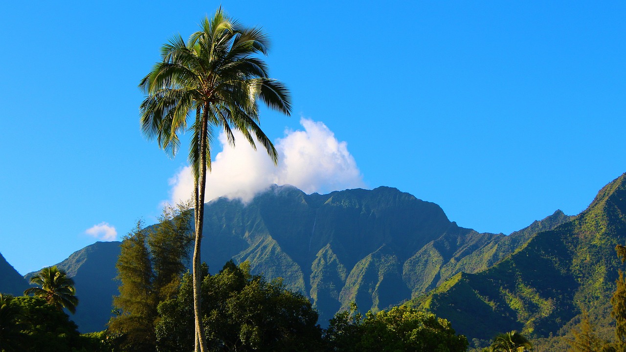 Hanalei