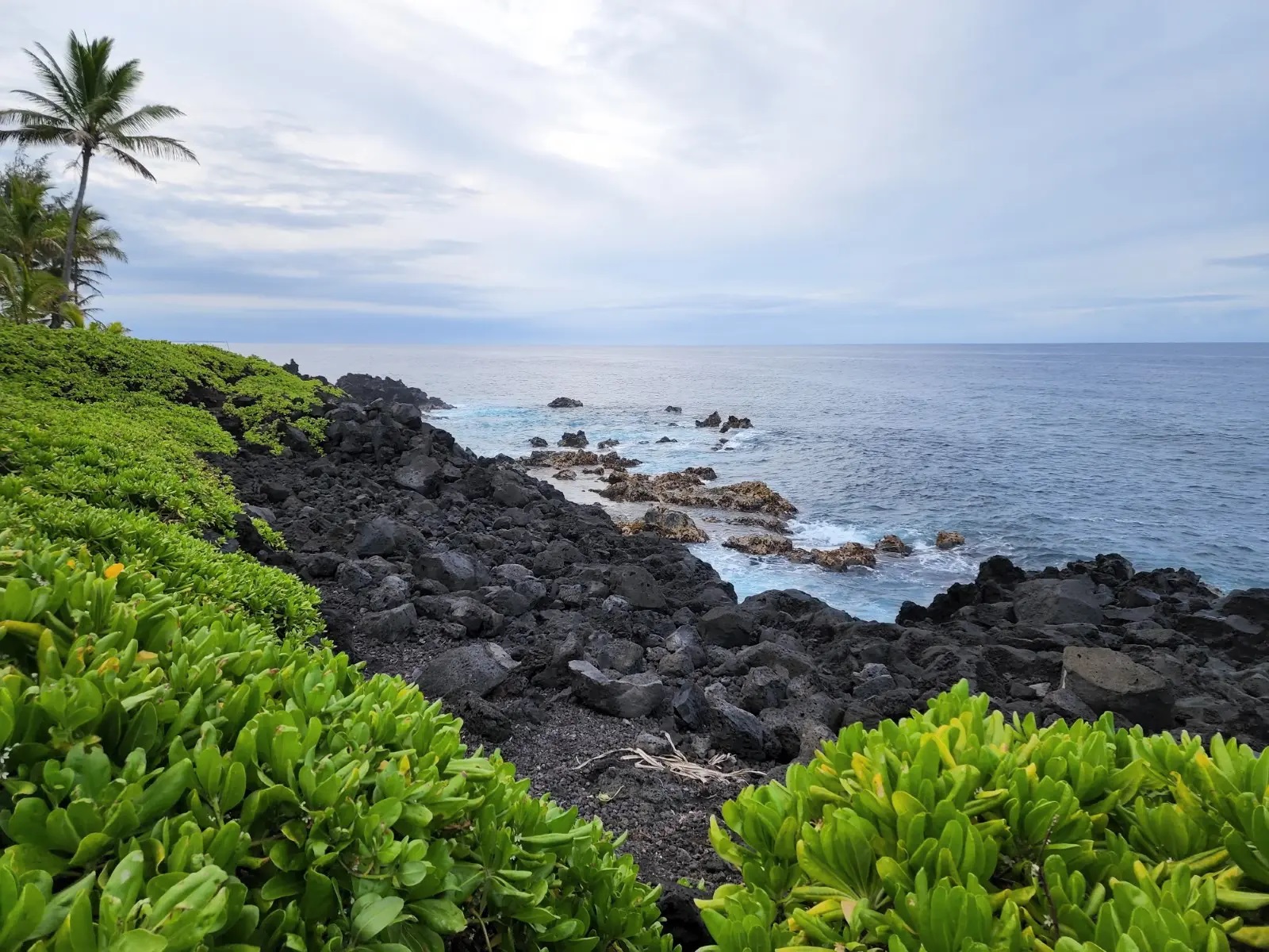Pahoa