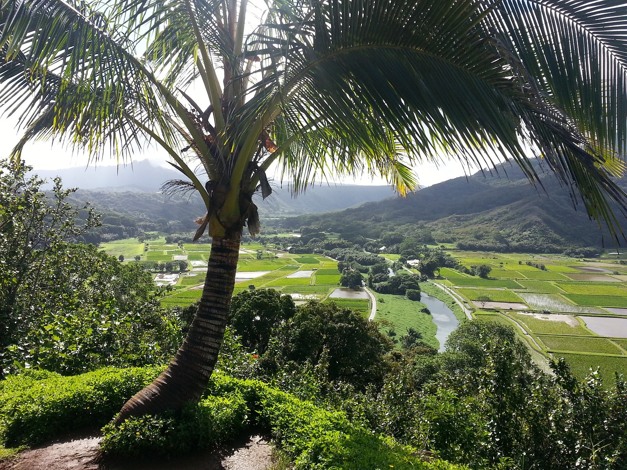 Princeville