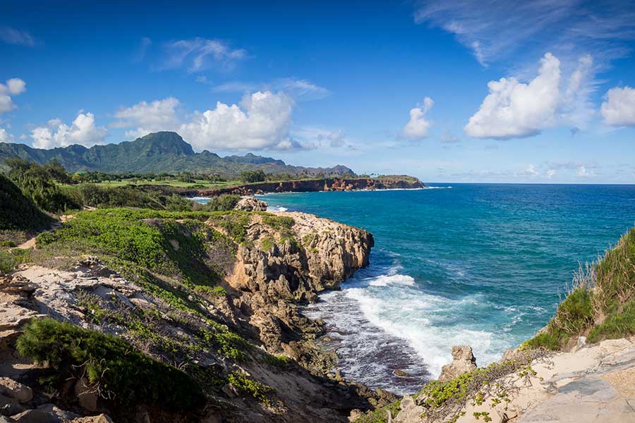 Koloa