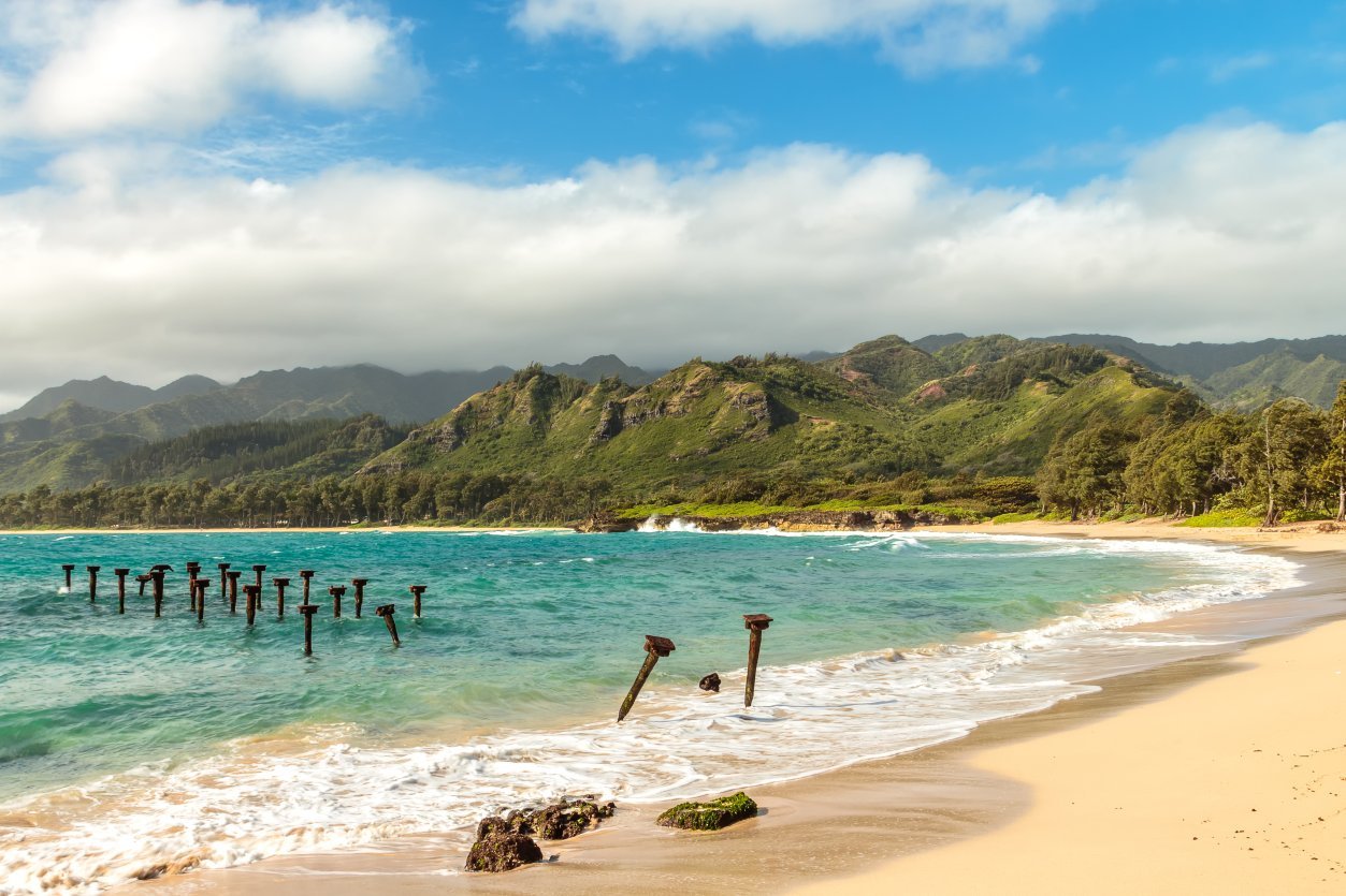 Laie
