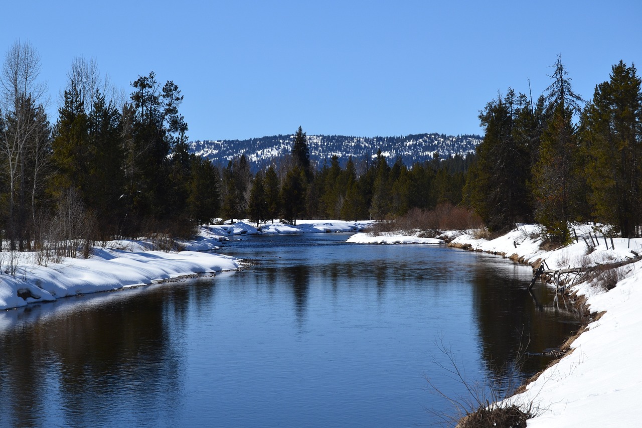 McCall