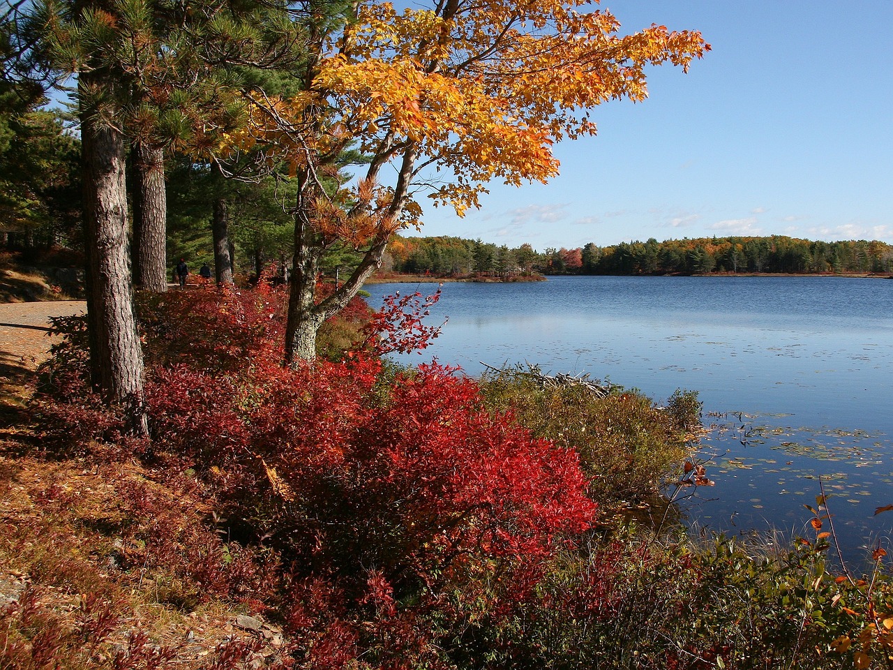 Acadia_National_Park