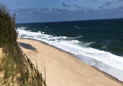 Wellfleet