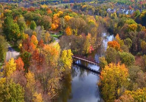 Ann Arbor