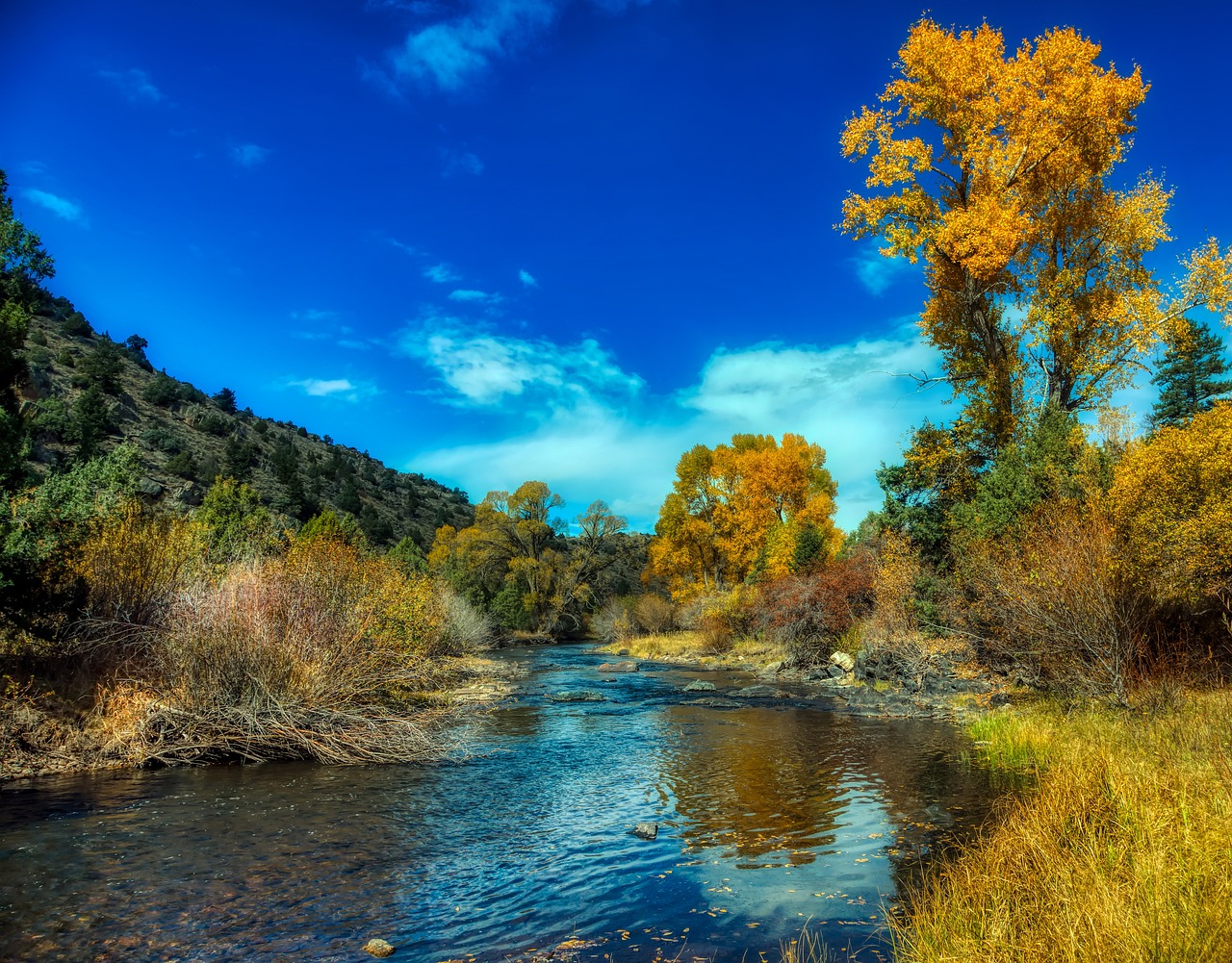 North_Platte