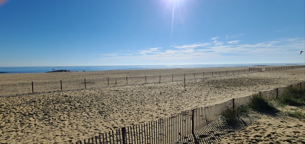 Belmar