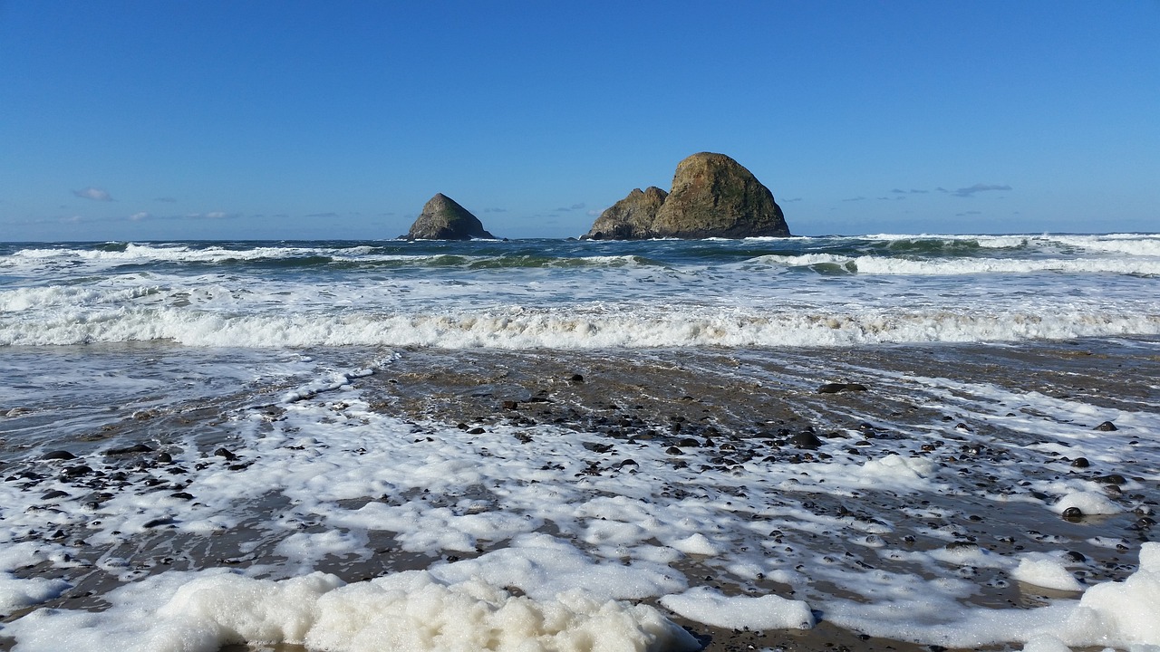 Tillamook