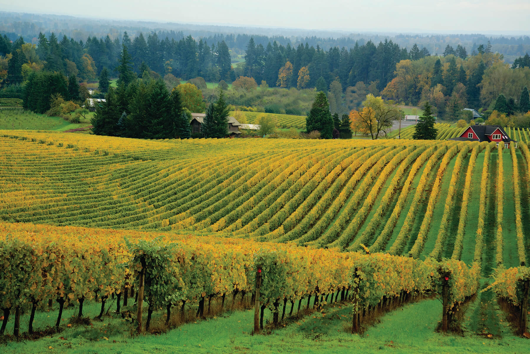 Willamette_Valley