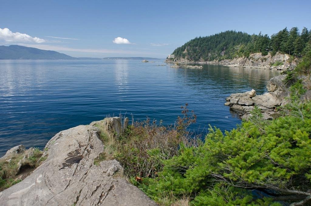 Bellingham