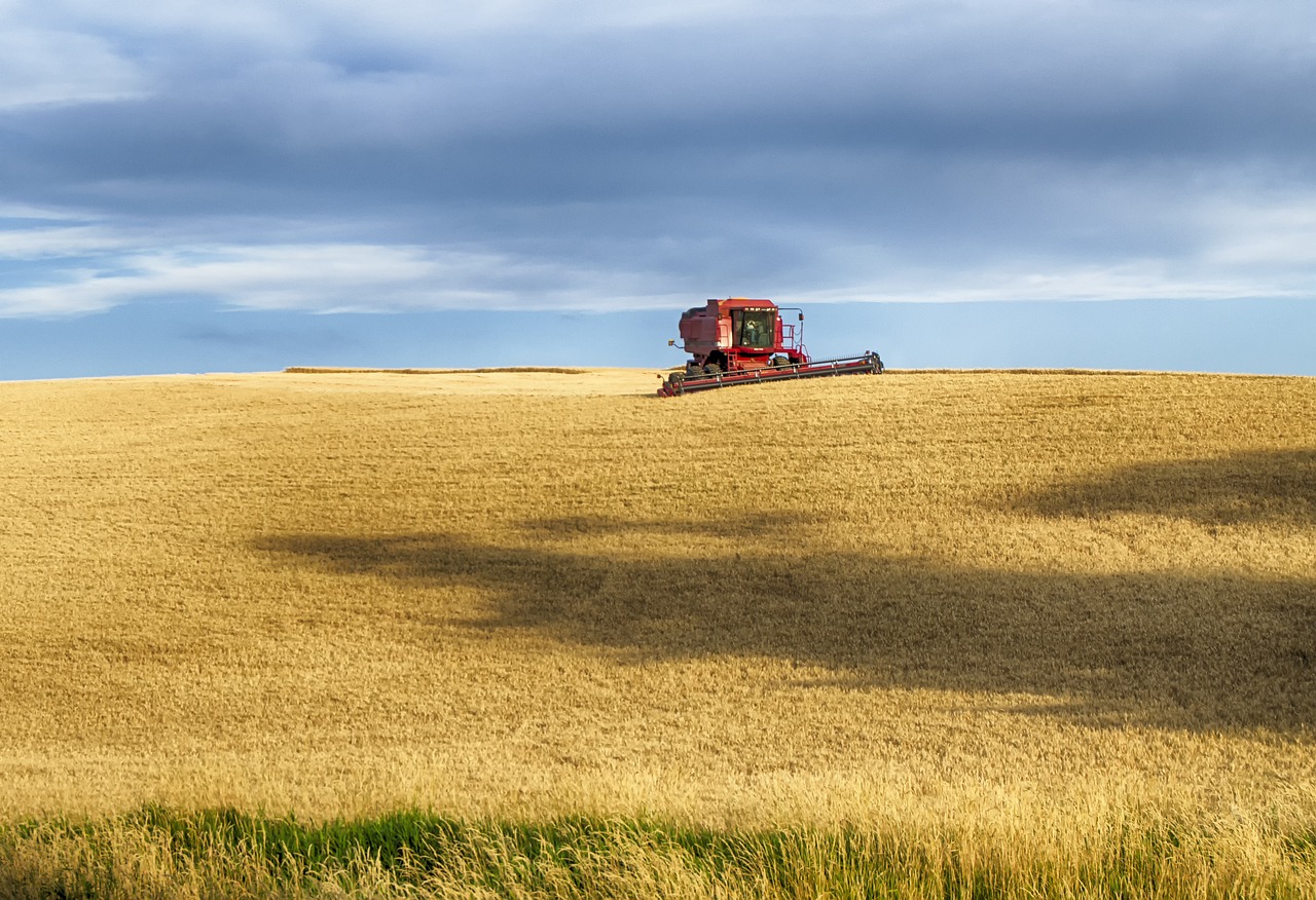 Palouse