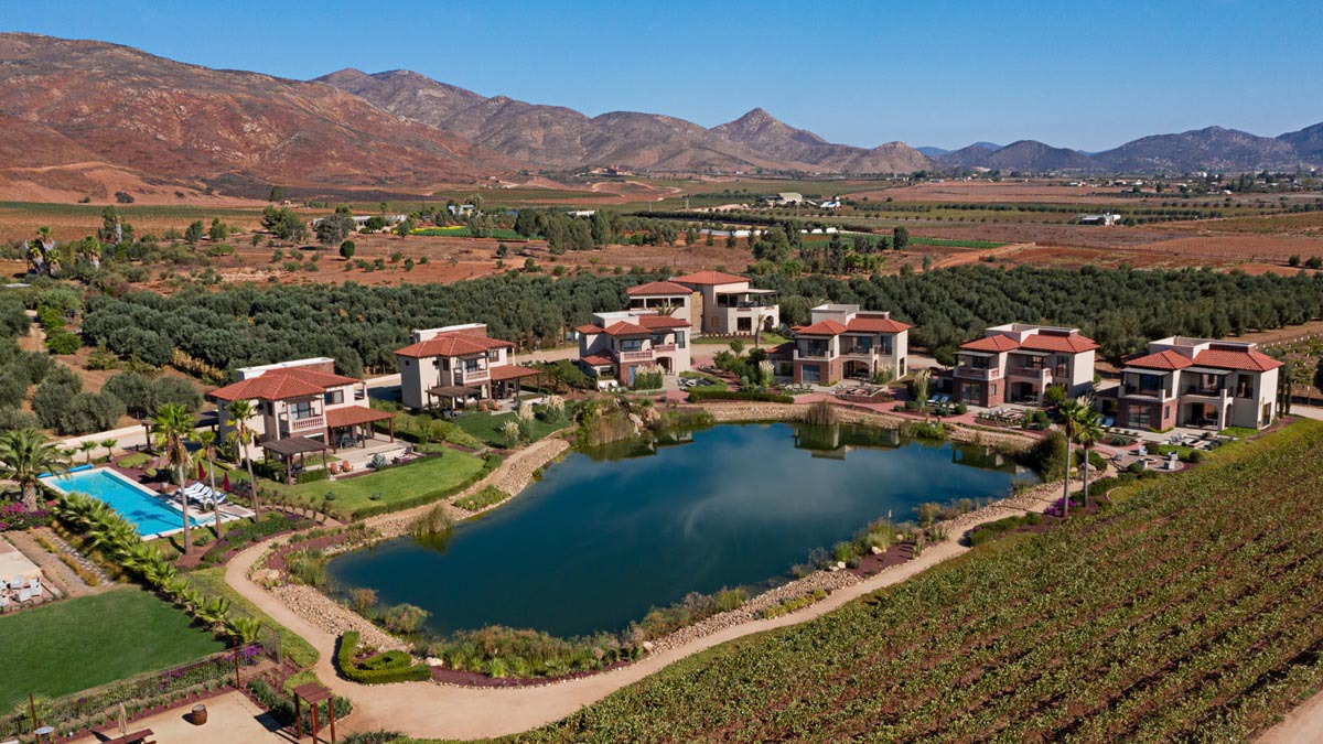 Valle_de_Guadalupe