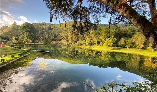 Laguna de Los Cedros
