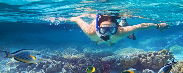 snorkel y el buceo