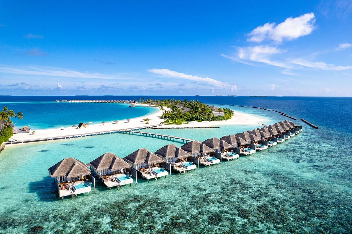 Dhaalu