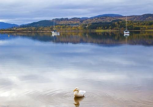Cairngorms_National_Park, Escocia