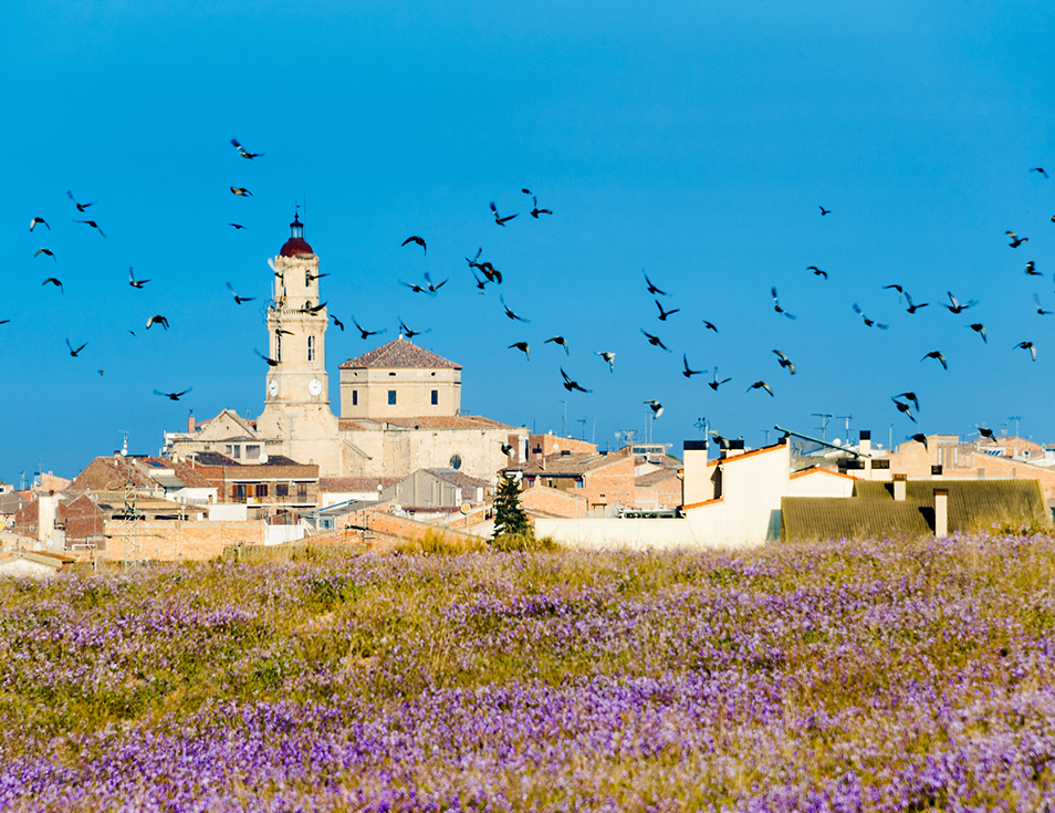 Les_Borges_Blanques