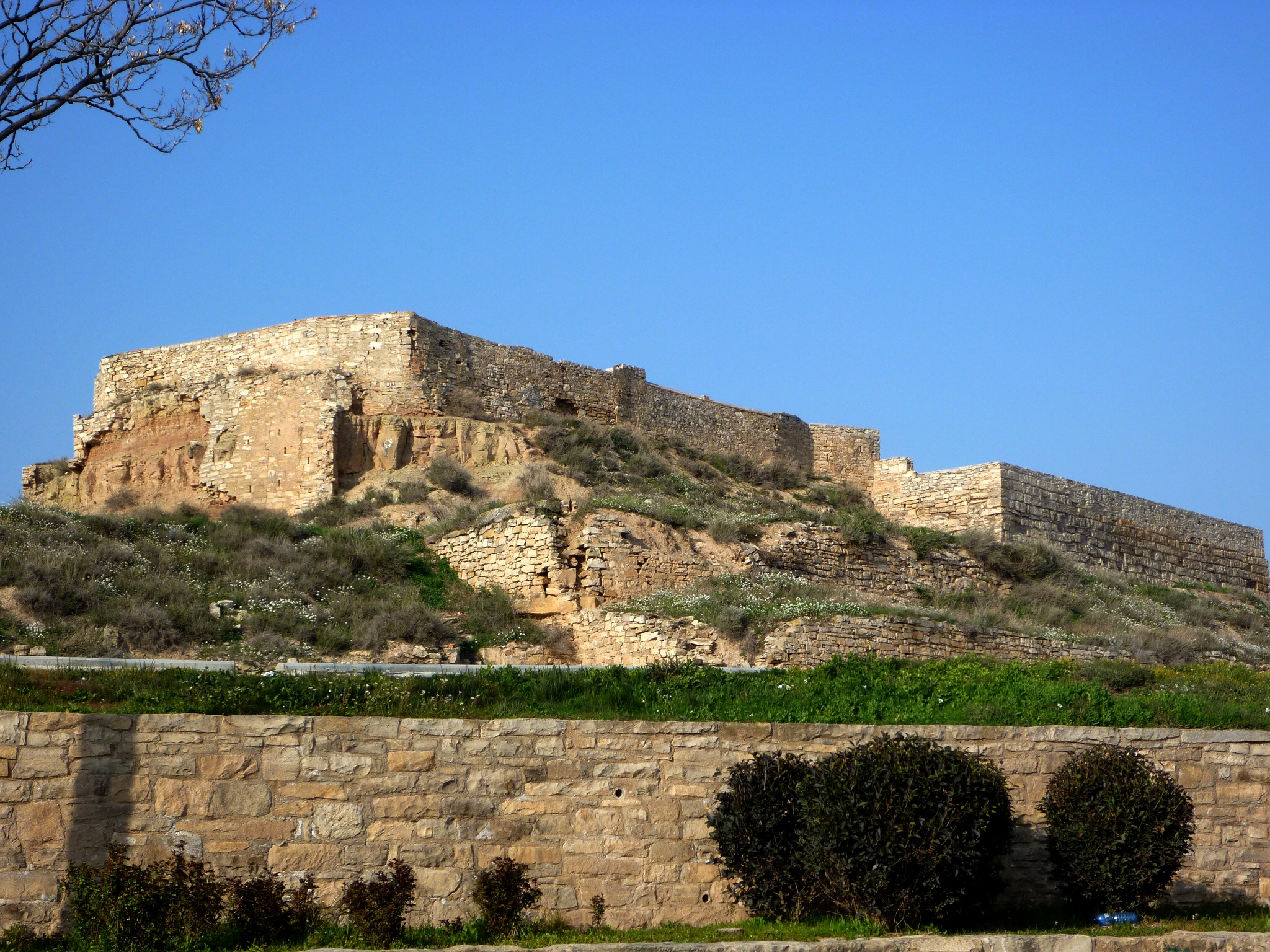 Tàrrega