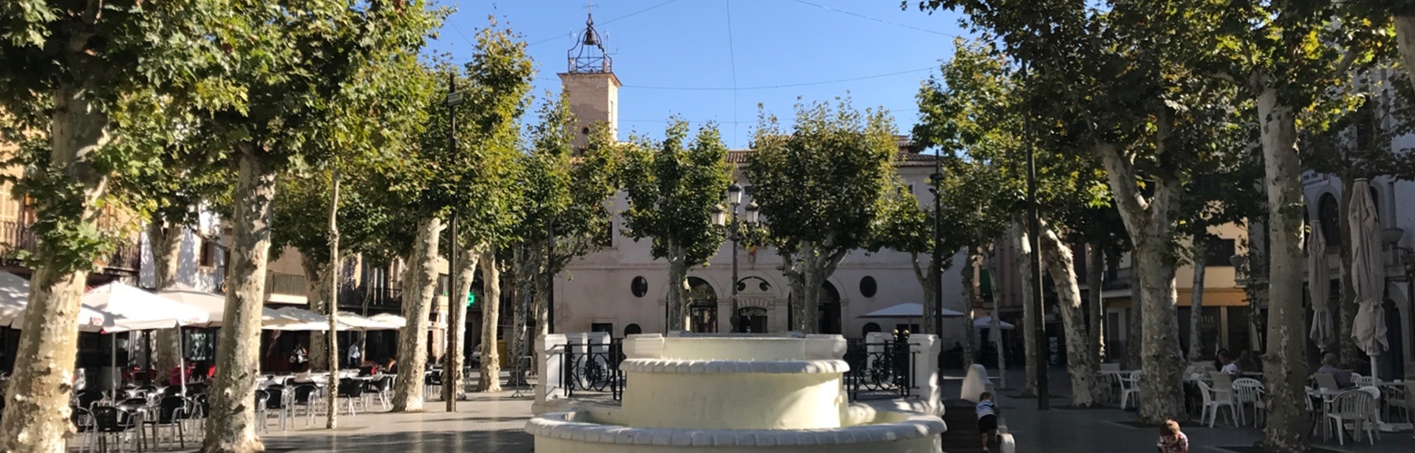Sa_Pobla