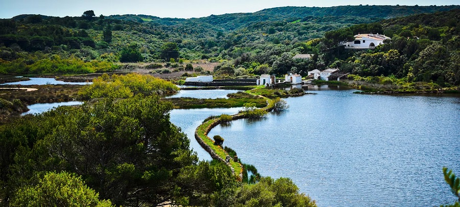 El Parque Natural de s'Albufera des Grau