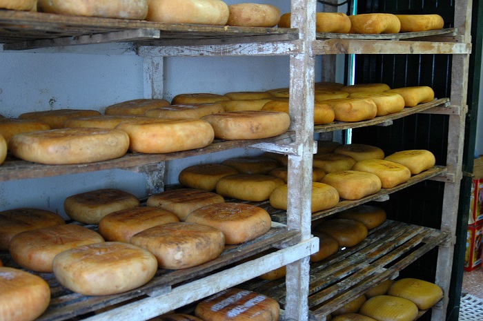 Queso de Mahón