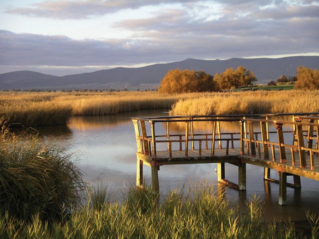 Daimiel