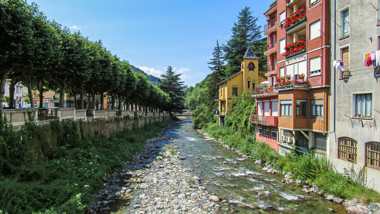 Ribes_de_Freser