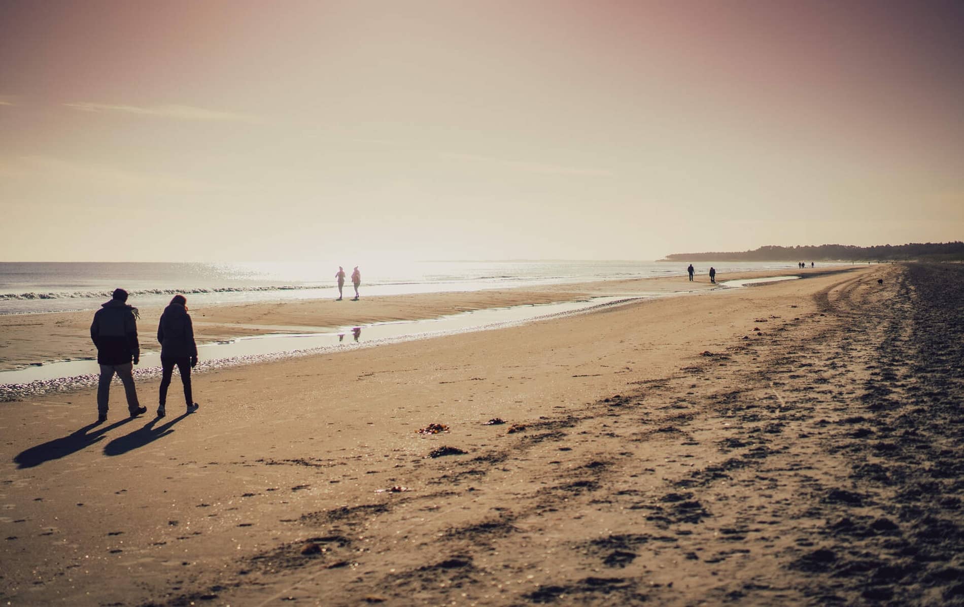 Wexford