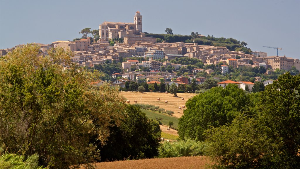 Fermo