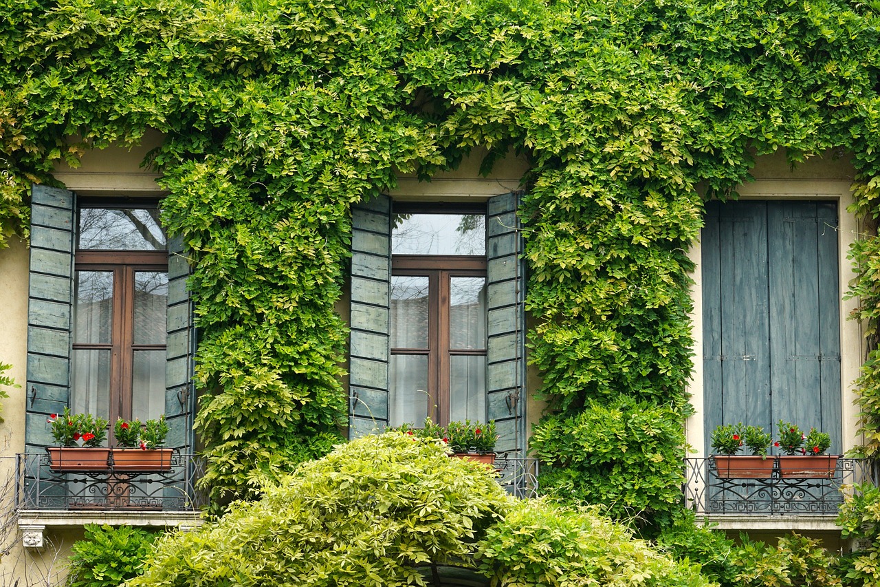 Padua