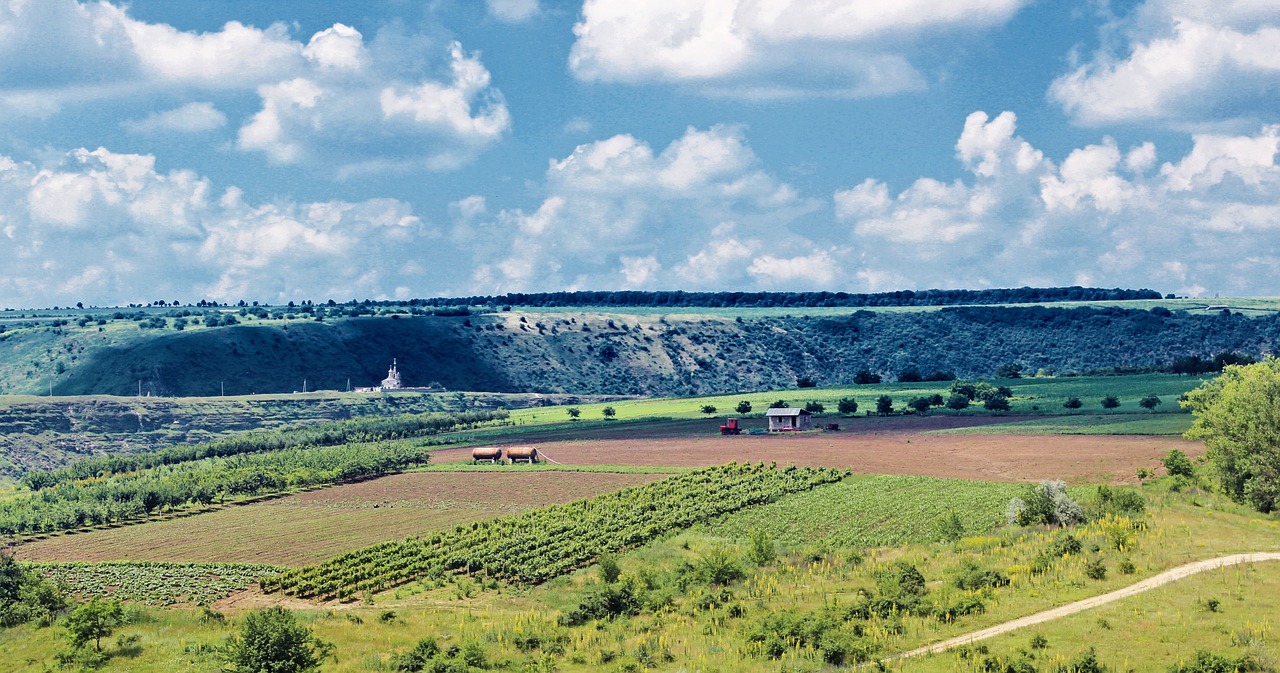 Orhei