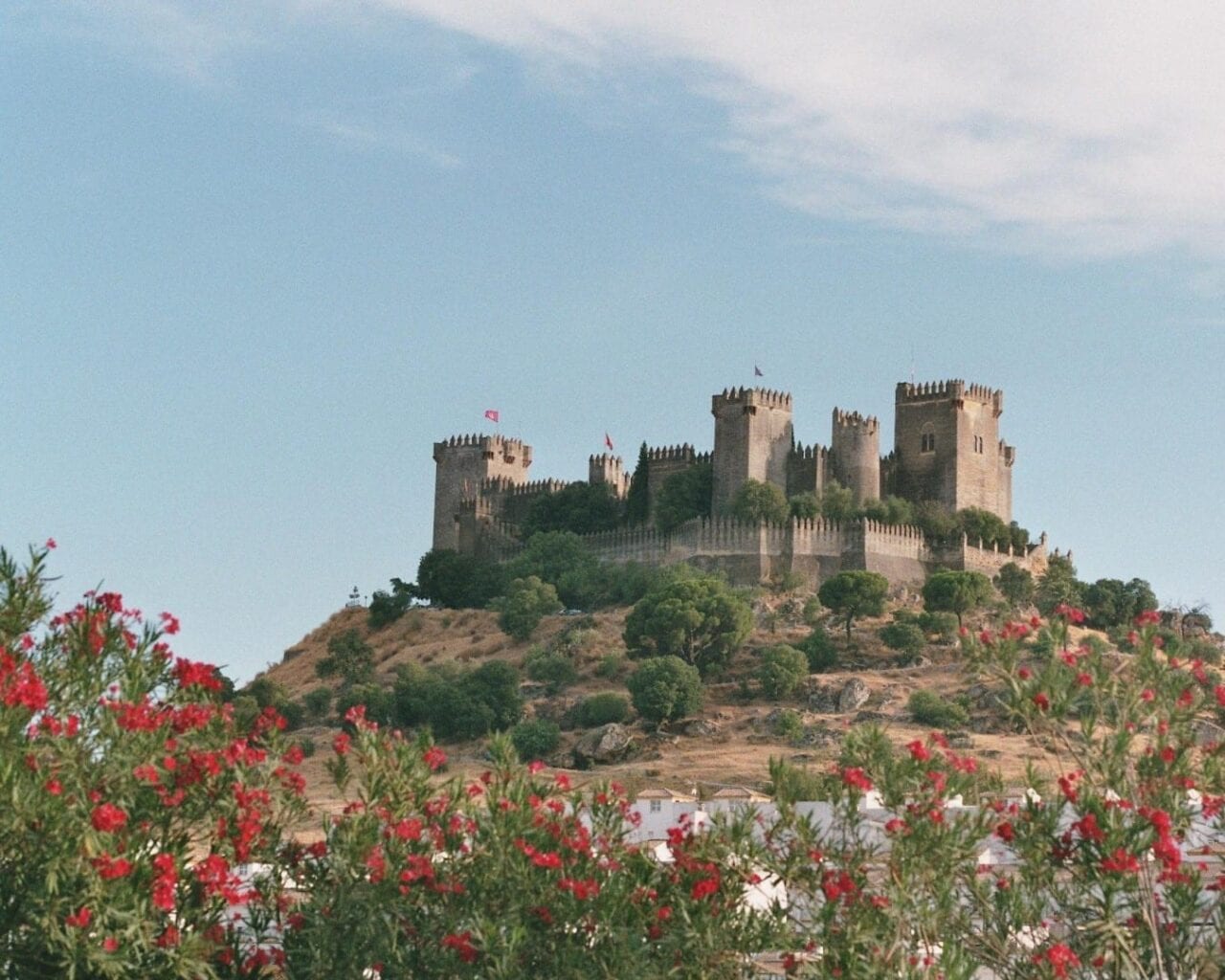 Almodôvar