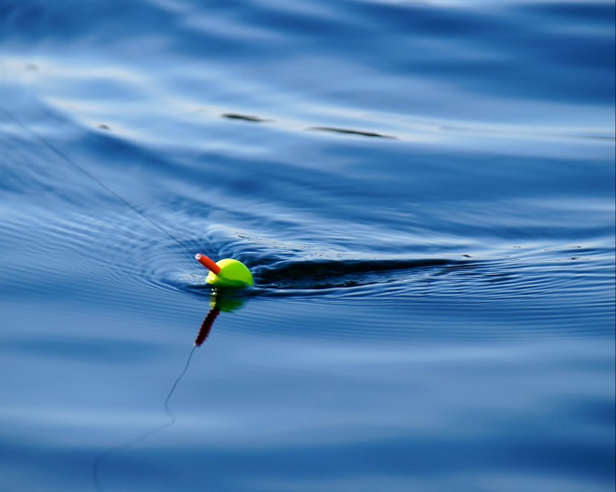 Pesca